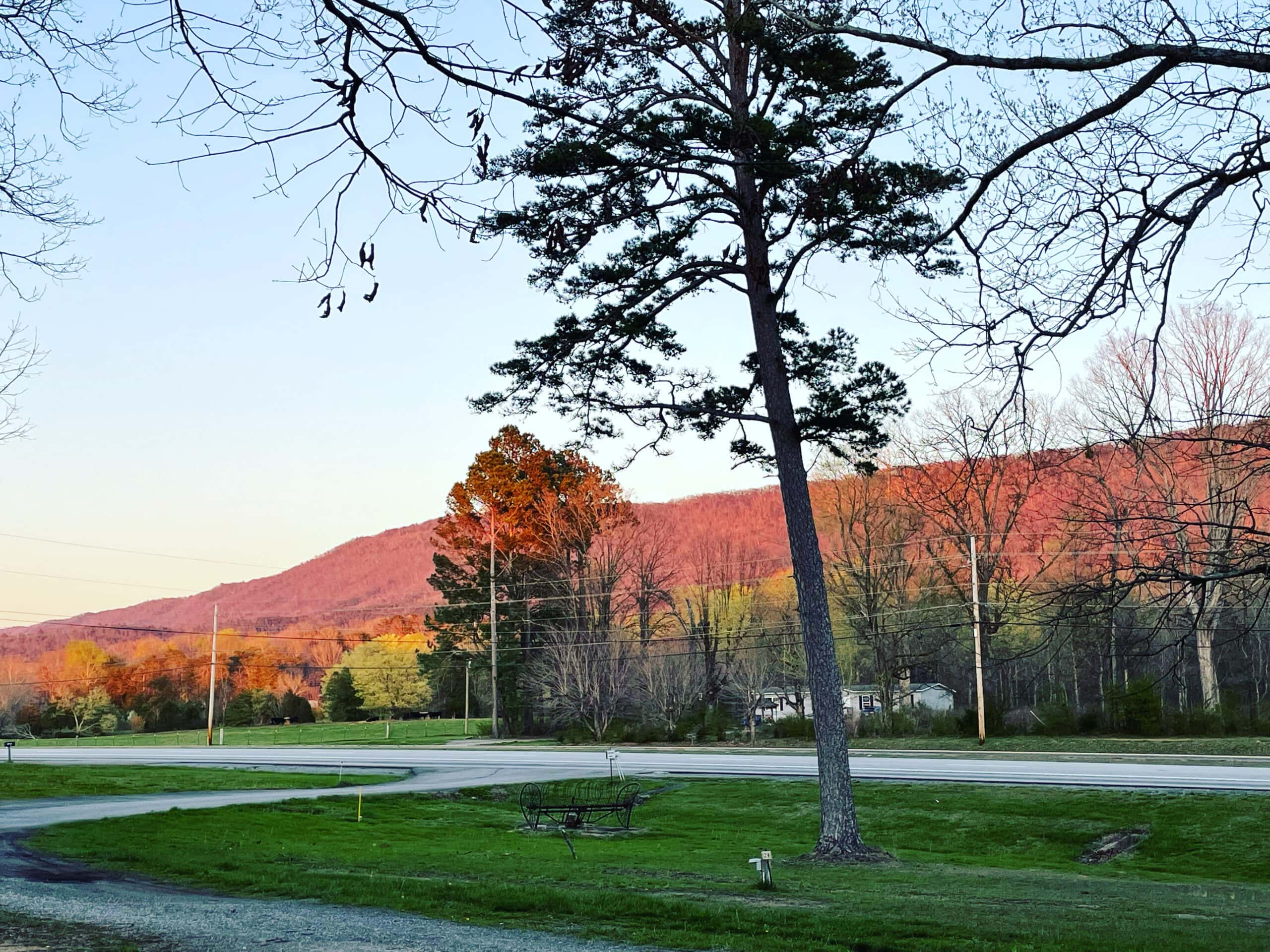 A road in the foreground with trees and grass, leading to a distant view of a sunlit mountain under a clear sky.